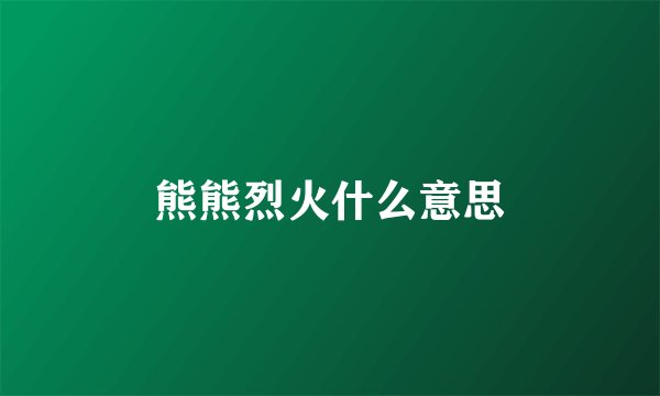 熊熊烈火什么意思