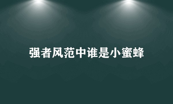 强者风范中谁是小蜜蜂