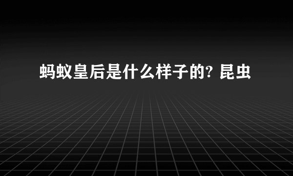 蚂蚁皇后是什么样子的? 昆虫