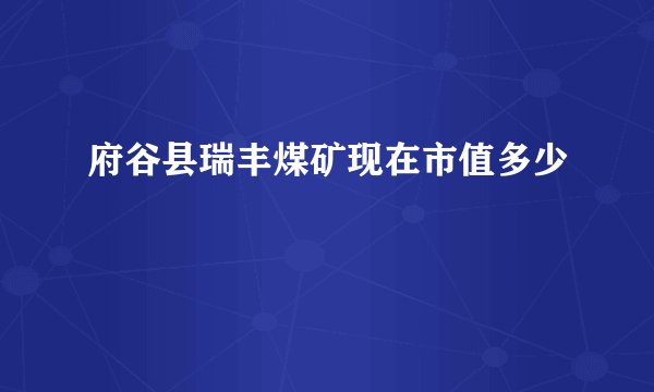 府谷县瑞丰煤矿现在市值多少