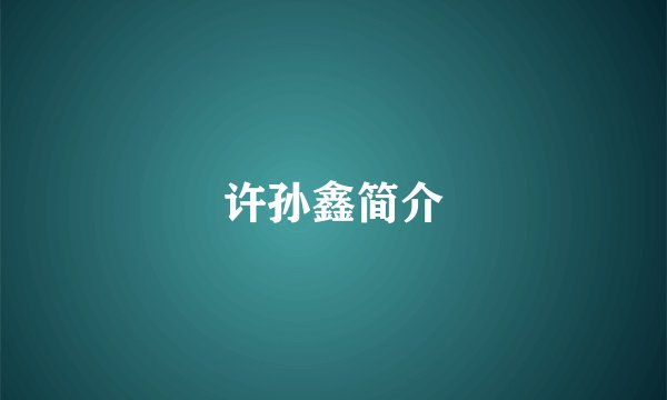 许孙鑫简介