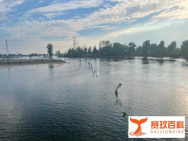 河南卫辉为何内涝积水这么严重？原因公布后很多人为什么不满意？