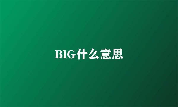 BlG什么意思