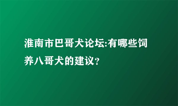 淮南市巴哥犬论坛:有哪些饲养八哥犬的建议？