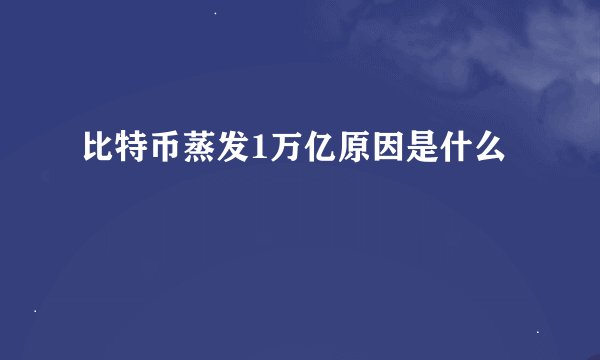 比特币蒸发1万亿原因是什么