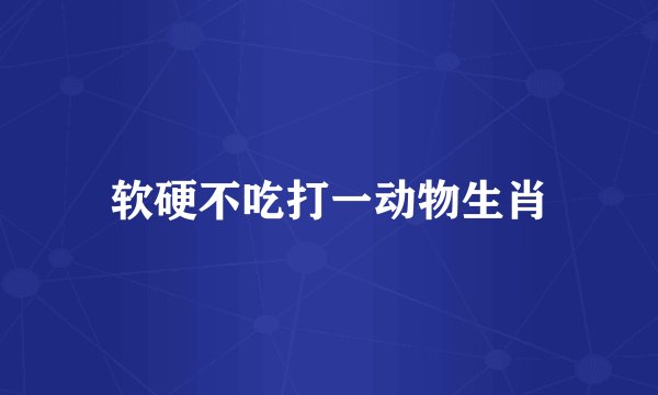 软硬不吃打一动物生肖