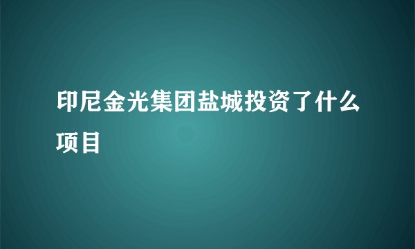 印尼金光集团盐城投资了什么项目