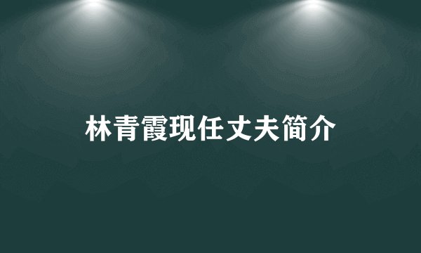 林青霞现任丈夫简介