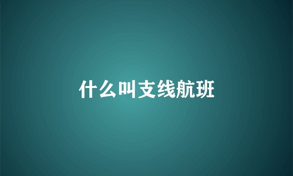 什么叫支线航班