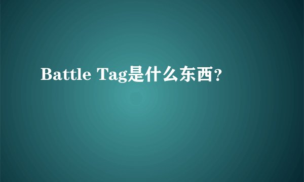 Battle Tag是什么东西？