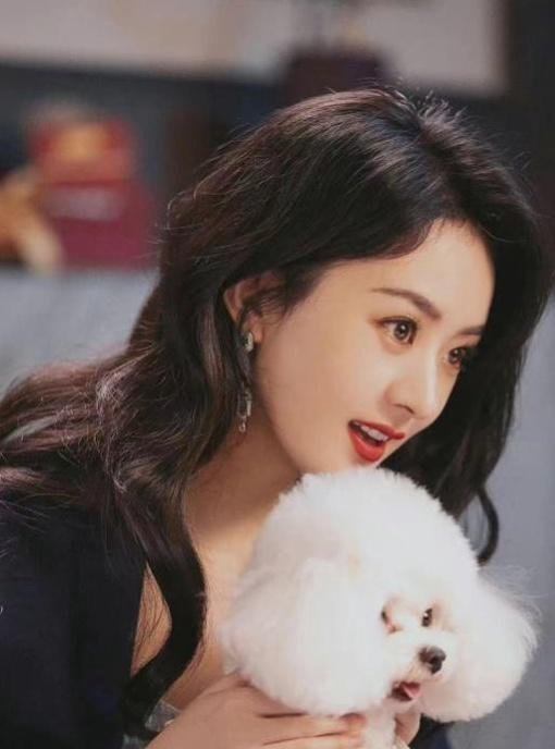 网曝赵丽颖涉嫌偷漏税数千万,赵丽颖方律师发布声明,目前已经报案!