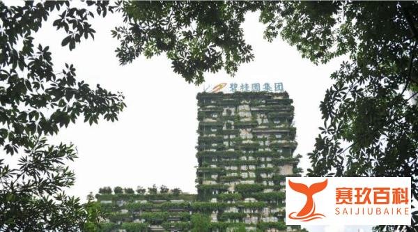 中国销售规模最大交楼最多的碧桂园也暴雷了
