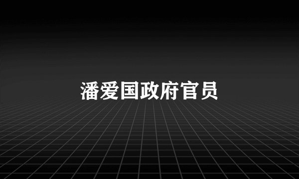 潘爱国政府官员