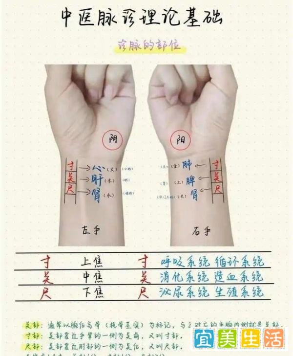 《脉经》中的雀啄脉,必死无疑吗?