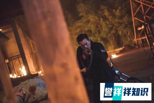 港片已“死”?先“死”编剧!《扫毒3:人在天涯》太垃圾了!