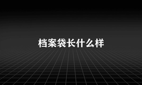 档案袋长什么样