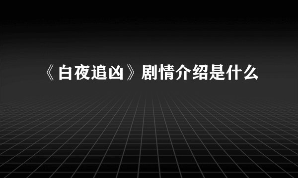 《白夜追凶》剧情介绍是什么
