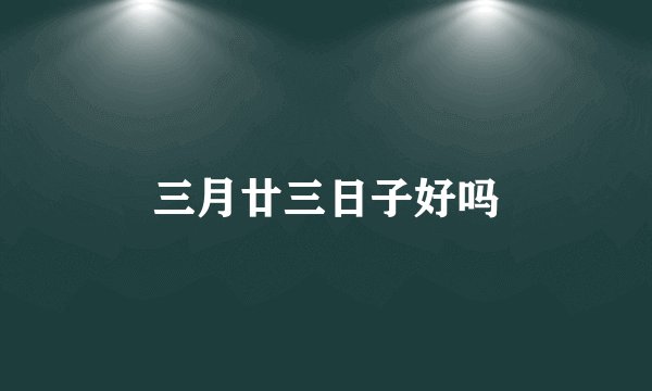 三月廿三日子好吗