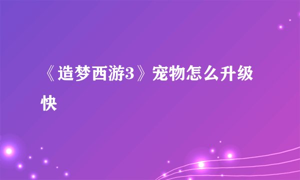 《造梦西游3》宠物怎么升级快