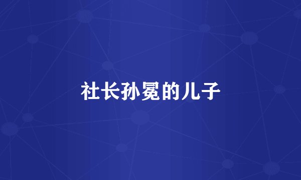 社长孙冕的儿子
