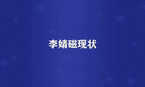 李婧磁现状