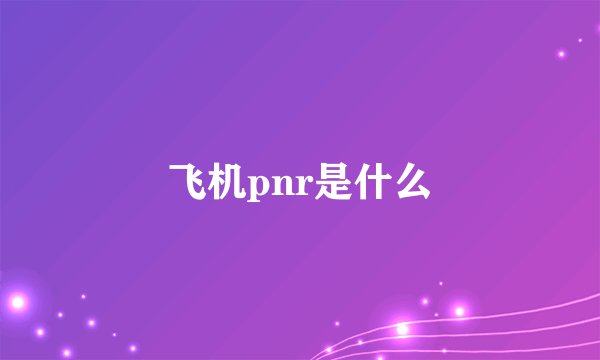 飞机pnr是什么