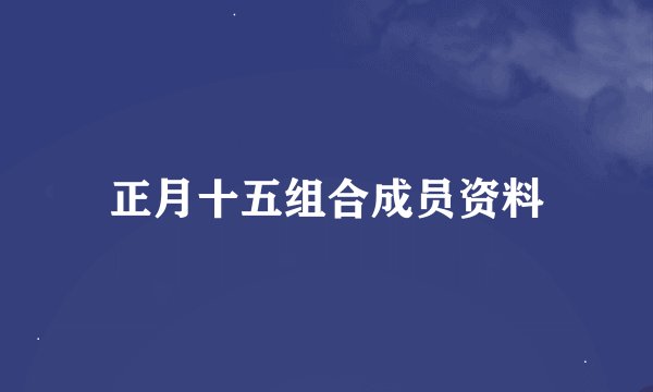 正月十五组合成员资料