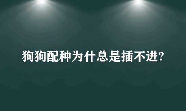 狗狗配种为什总是插不进?