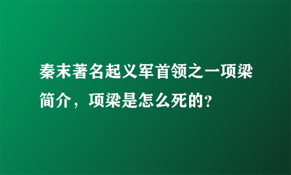 秦末著名起义军首领之一项梁简介,项梁是怎么死的?