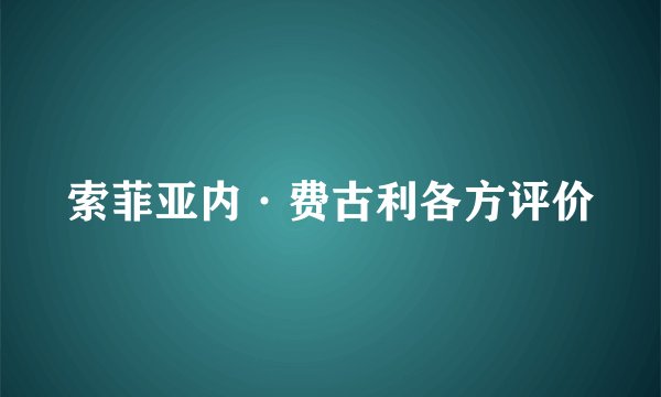 索菲亚内·费古利各方评价
