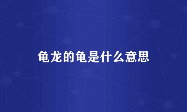 龟龙的龟是什么意思