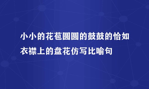 小小的花苞圆圆的鼓鼓的恰如衣襟上的盘花仿写比喻句