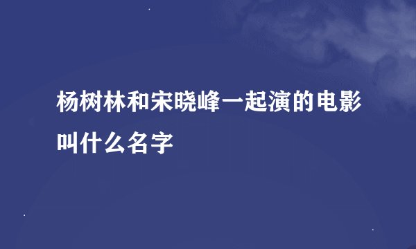 杨树林和宋晓峰一起演的电影叫什么名字