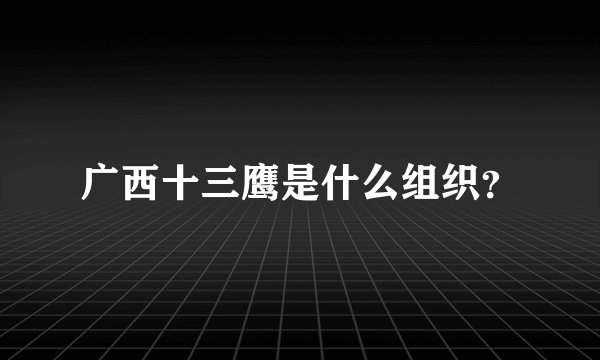 广西十三鹰是什么组织？