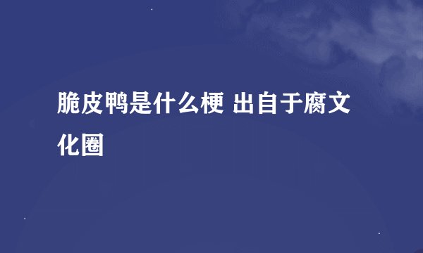 脆皮鸭是什么梗 出自于腐文化圈