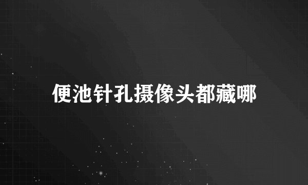 便池针孔摄像头都藏哪