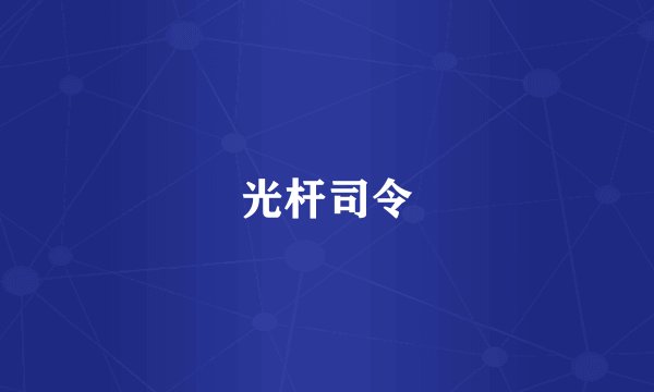 光杆司令