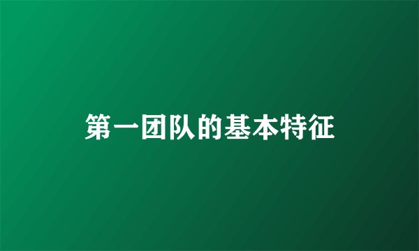 第一团队的基本特征