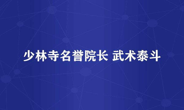 少林寺名誉院长 武术泰斗