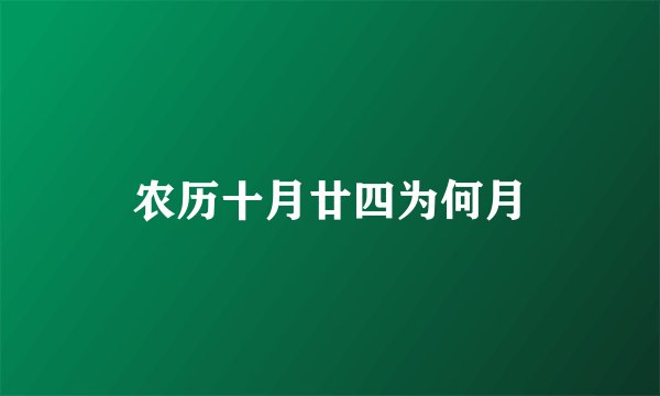 农历十月廿四为何月