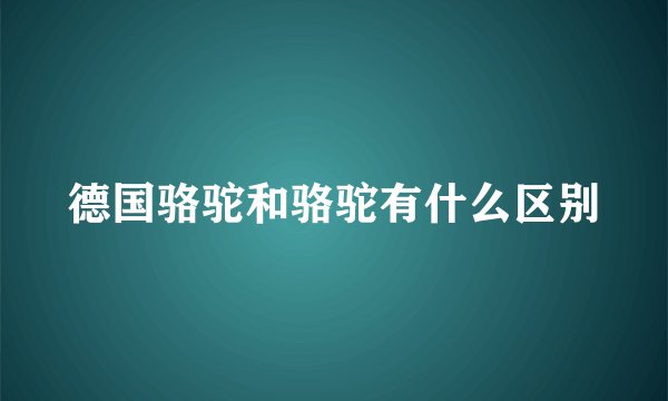 德国骆驼和骆驼有什么区别