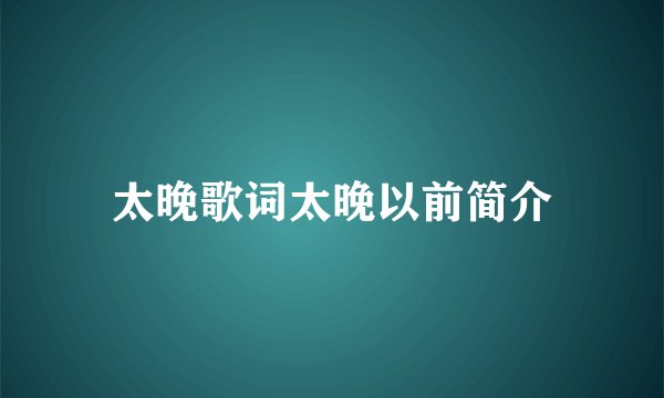 太晚歌词太晚以前简介