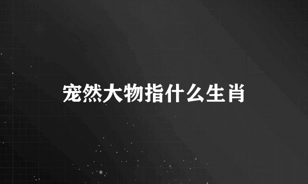 宠然大物指什么生肖