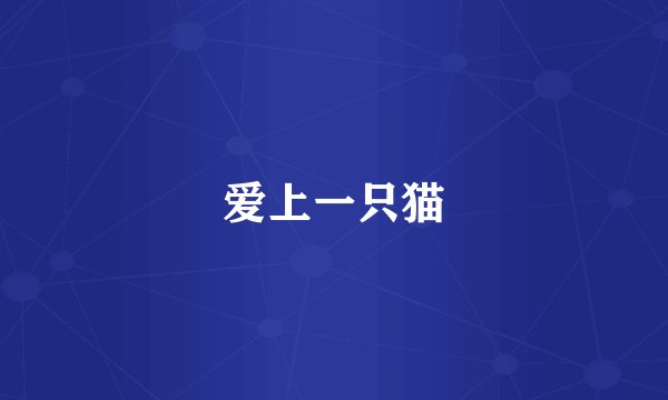 爱上一只猫