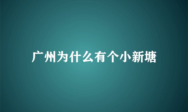 广州为什么有个小新塘