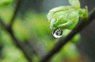 冰雪半融(猜一节气)谜语