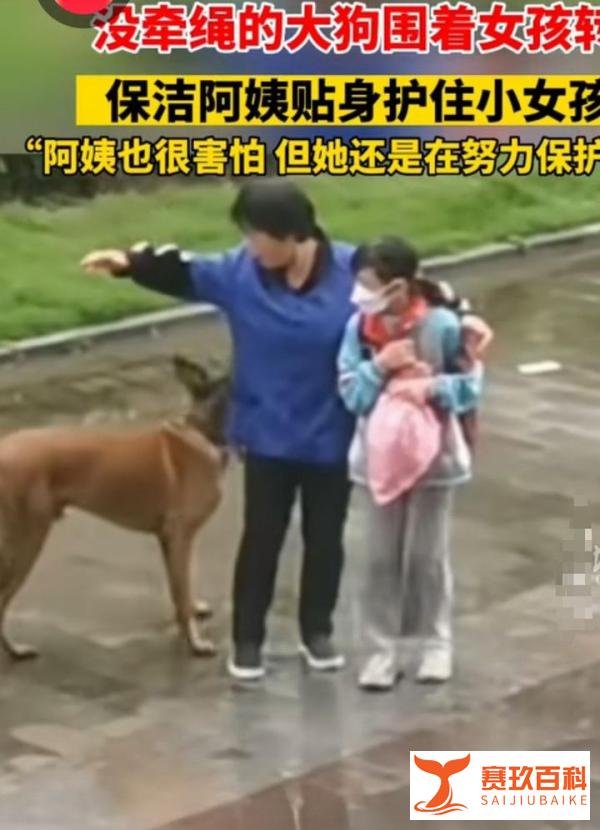大狗尾随女孩 保洁阿姨保护周旋1小时