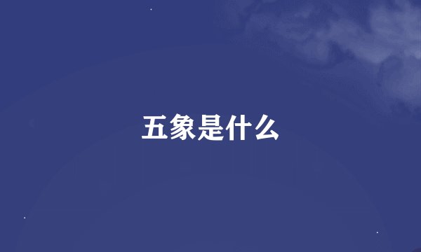 五象是什么