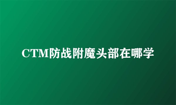 CTM防战附魔头部在哪学