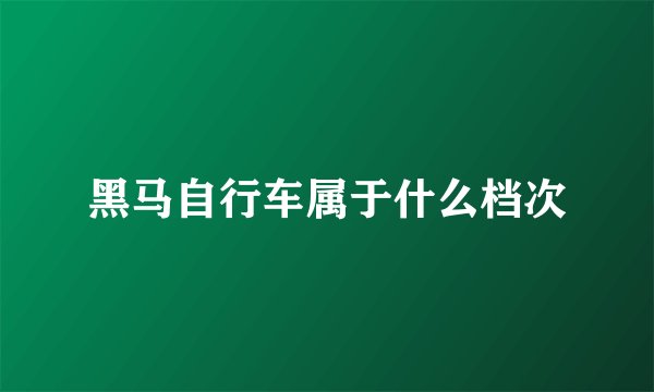黑马自行车属于什么档次